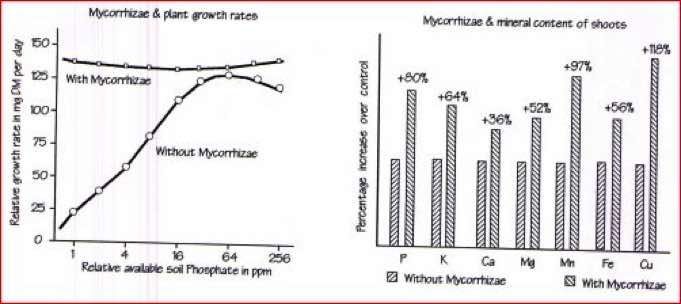 soil fertility is a biological, Waternet.co.uk Theydon UK